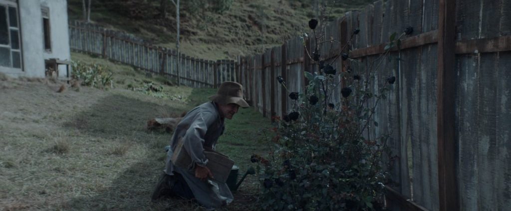 My Neighbor Adolf — still 5