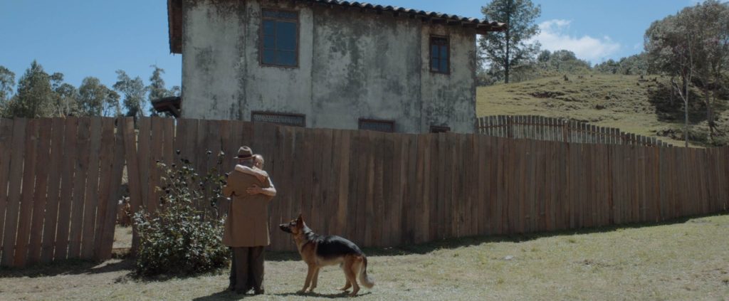 My Neighbor Adolf — still 15