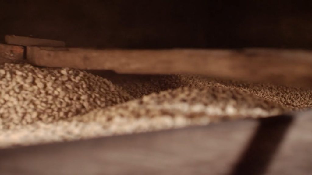 STōK Brew — still 6
